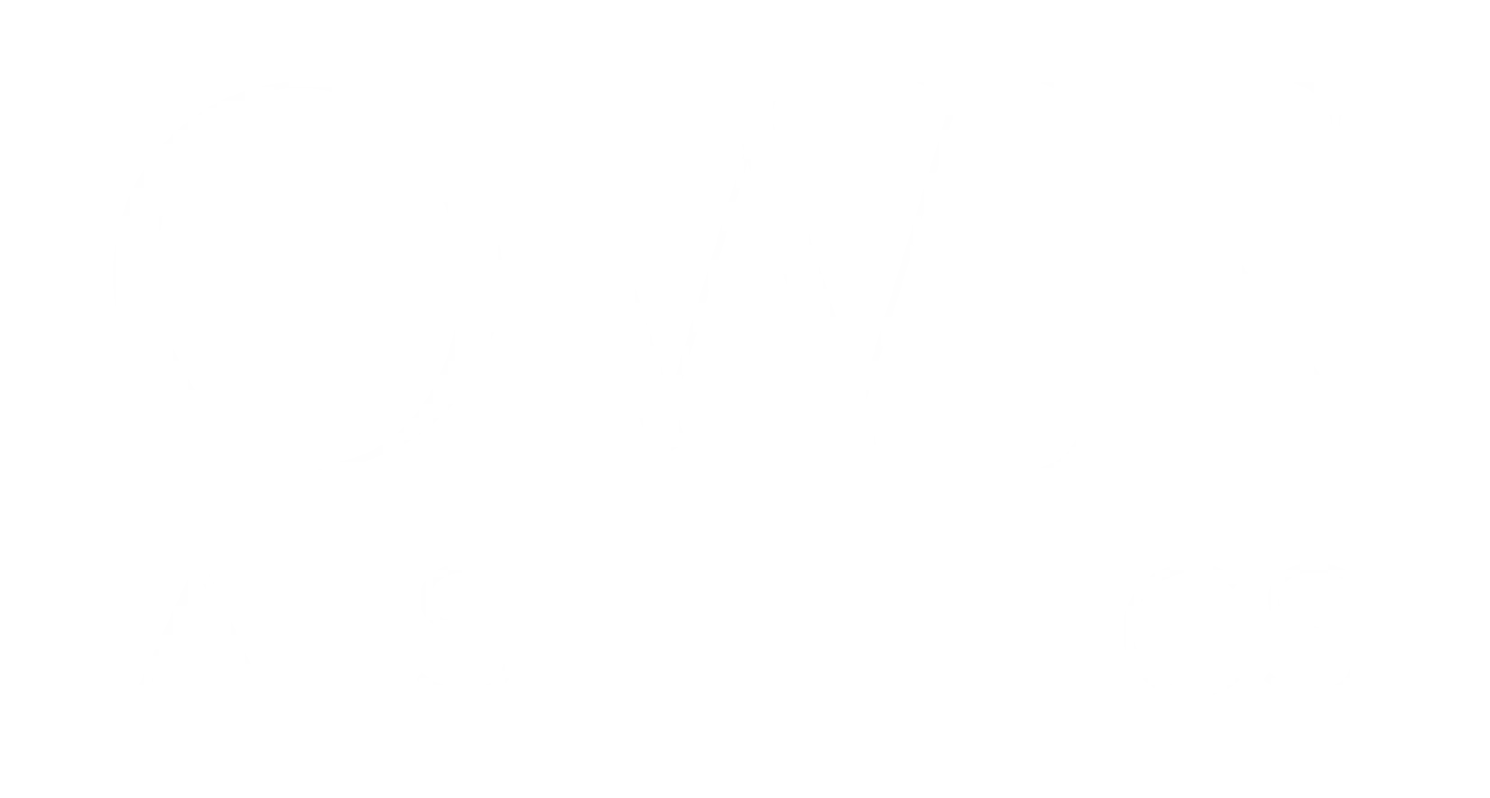 Own Aesthetics Logo